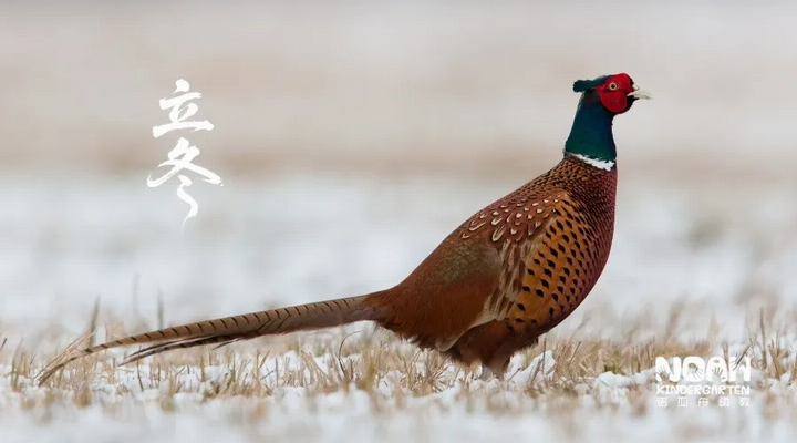 f08e1315-e941-471f-808f-43ab311b0b25.png f08e1315-e941-471f-808f-43ab311b0b25.png